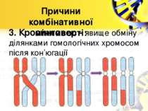 3. Кросинговер - явище обміну ділянками гомологічних хромосом після кон’югаці...