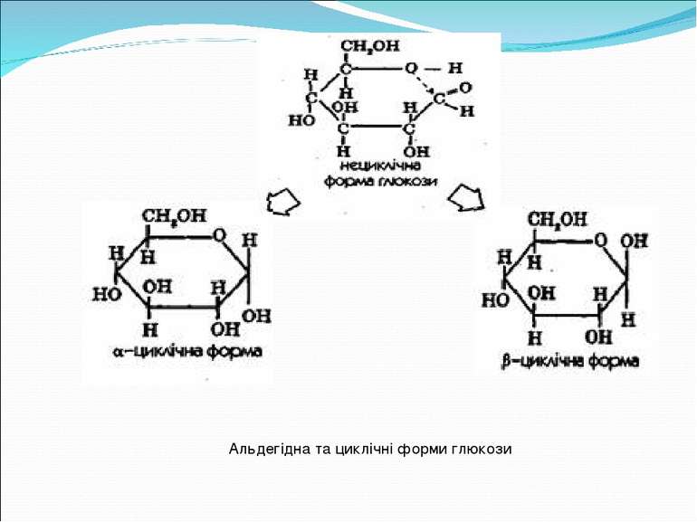 Альдегідна та циклічні форми глюкози