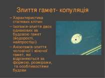 Злиття гамет- копуляція Характеристика статевих клітин Ізогамія-злиття двох о...