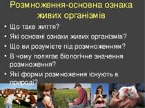 Розмноження-основна ознака живих організмів Що таке життя? Які основні ознаки...