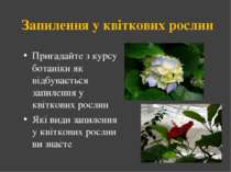 Запилення у квіткових рослин Пригадайте з курсу ботаніки як відбувається запи...