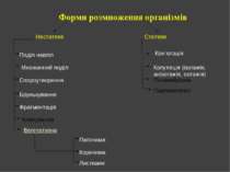 Форми розмноження організмів Нестатеве Статеве Поділ навпіл Множинний поділ С...