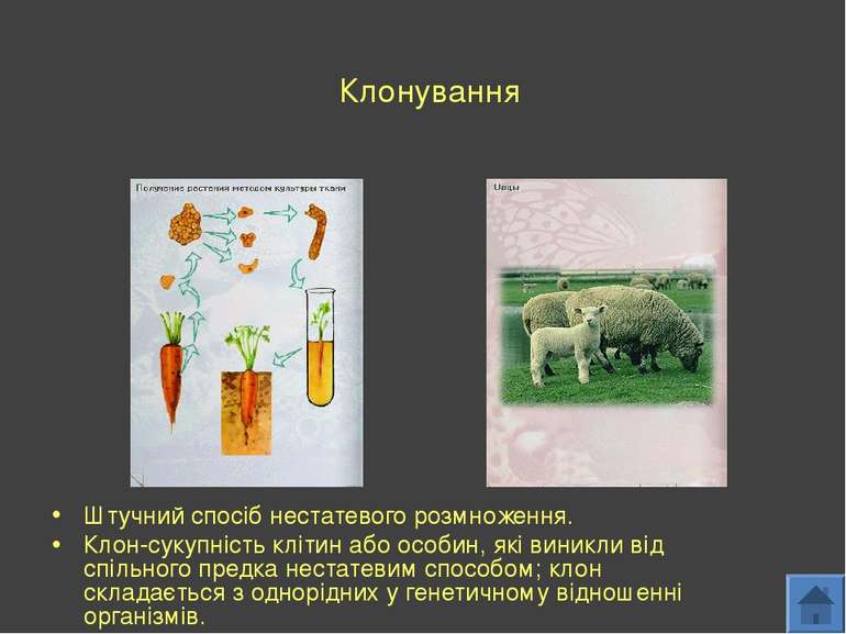 Клонування Штучний спосіб нестатевого розмноження. Клон-сукупність клітин або...