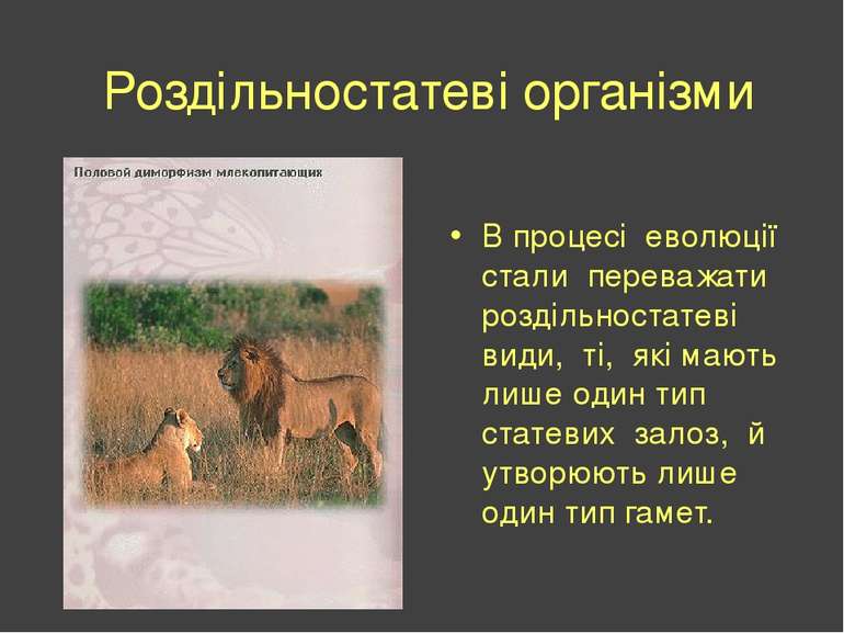 Роздільностатеві організми В процесі еволюції стали переважати роздільностате...