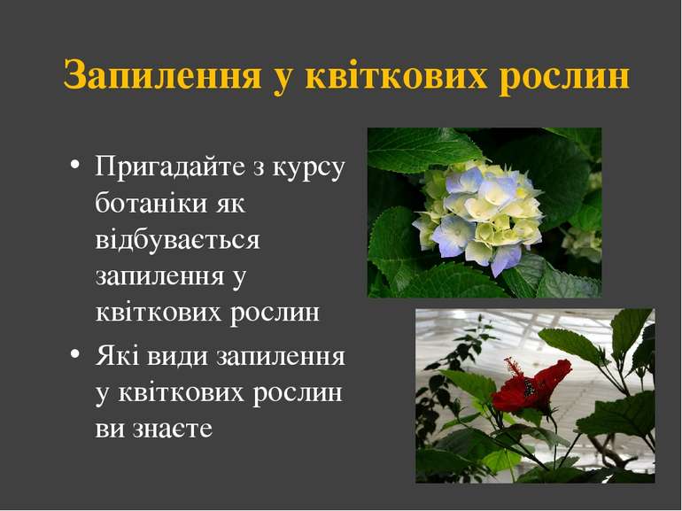 Запилення у квіткових рослин Пригадайте з курсу ботаніки як відбувається запи...