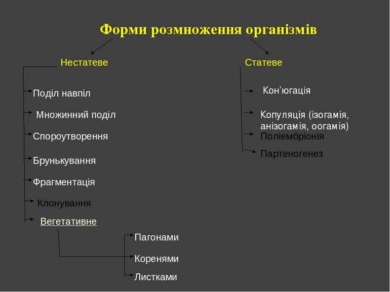 Форми розмноження організмів Нестатеве Статеве Поділ навпіл Множинний поділ С...