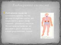 Ендокринна система - сукупність органів, частин органів та окремих клітин, як...