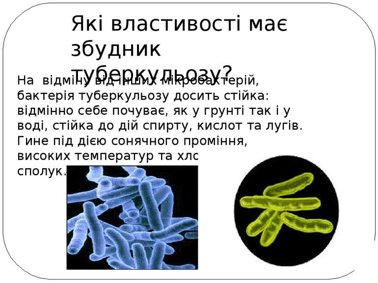 Які властивості має збудник туберкульозу? На відміну від інших мікробактерій,...