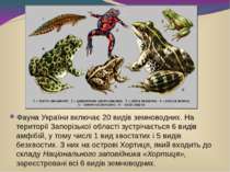 Фауна України включає 20 видів земноводних. На території Запорізької області ...