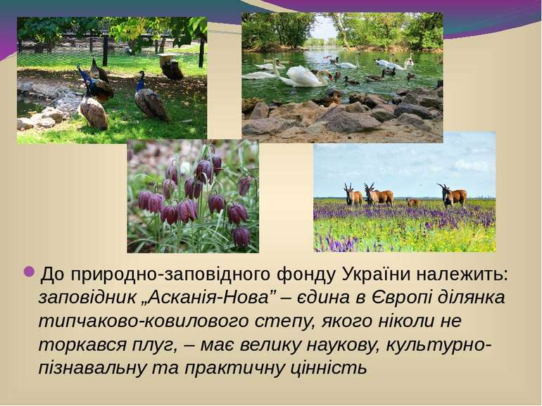 До природно-заповідного фонду України належить: заповідник „Асканія-Нова” – є...