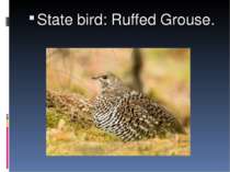 State bird: Ruffed Grouse.