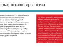 Прокаріотичні організми Ще одним прикладом найпростішої багатоклітинної орган...