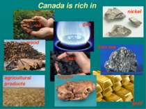 gas oil coal iron ore nickel copper Canada is rich in agricultural products g...