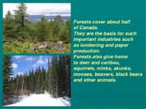 Forests cover about half of Canada. They are the basis for such important ind...