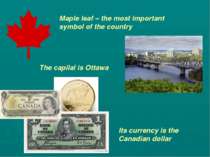 Maple leaf – the most important symbol of the country The capilal is Ottawa I...