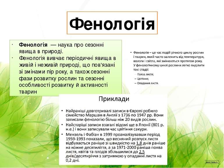 Фенологія Феноло гія  — наука про сезонні явища в природі. Фенологія вивчає п...