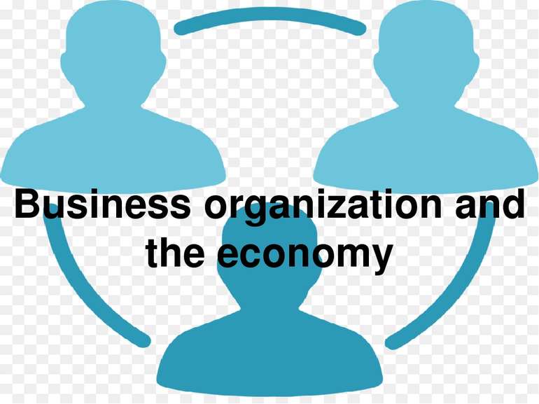 Business organization and the economy