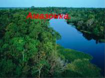 Амазонок