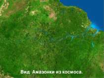 Вид Амазонки из космоса.