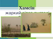 Хамсін жаркий вітер пустелі Сахари. Вітер 50 –ти днів.