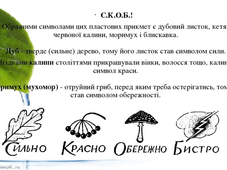 С.К.О.Б.! Образними символами цих пластових прикмет є дубовий листок, кетяги ...