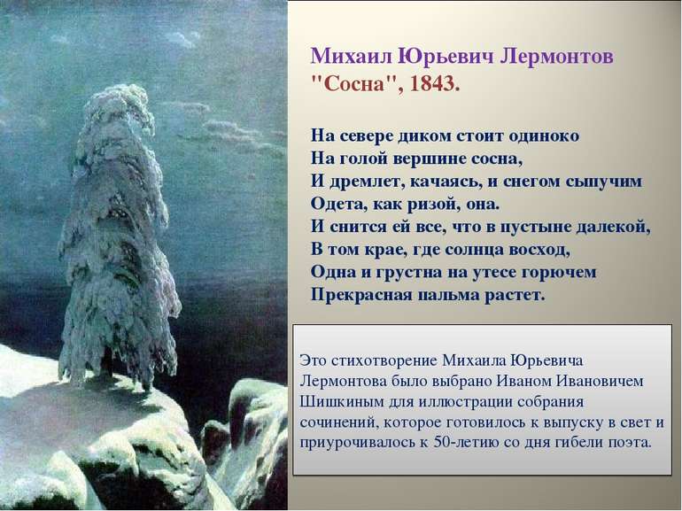 Михаил Юрьевич Лермонтов "Сосна", 1843. На севере диком стоит одиноко На голо...