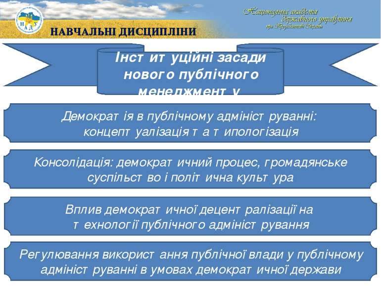 Інституційні засади нового публічного менеджменту Демократія в публічному адм...