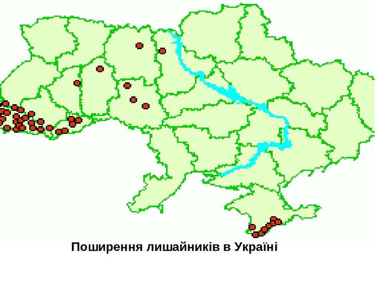 Поширення лишайників в Україні