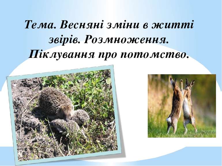 Тема. Весняні зміни в житті звірів. Розмноження. Піклування про потомство.