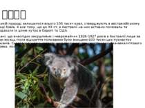 Коала В дикій природі залишилося всього 100 тисяч коал, стверджують в австрал...