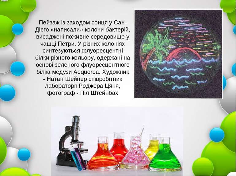 Пейзаж із заходом сонця у Сан-Дієго «написали» колони бактерій, висаджені пож...