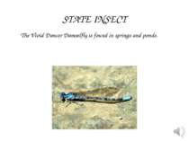 The Vivid Dancer Damselfly is found in springs and ponds. STATE INSECT