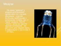 Медузи На краю "дзвони" у медузи розташовані примітивні очі і органи рівноваг...