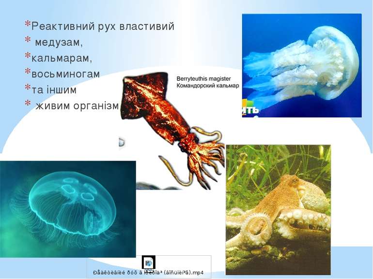 Реактивний рух властивий медузам, кальмарам, восьминогам та іншим живим орган...