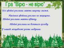 Усі хвойні рослини мають широке листя. Насіння хвойних рослин не захищене. Хв...