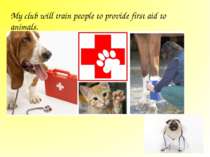My club will train people to provide first aid to animals.