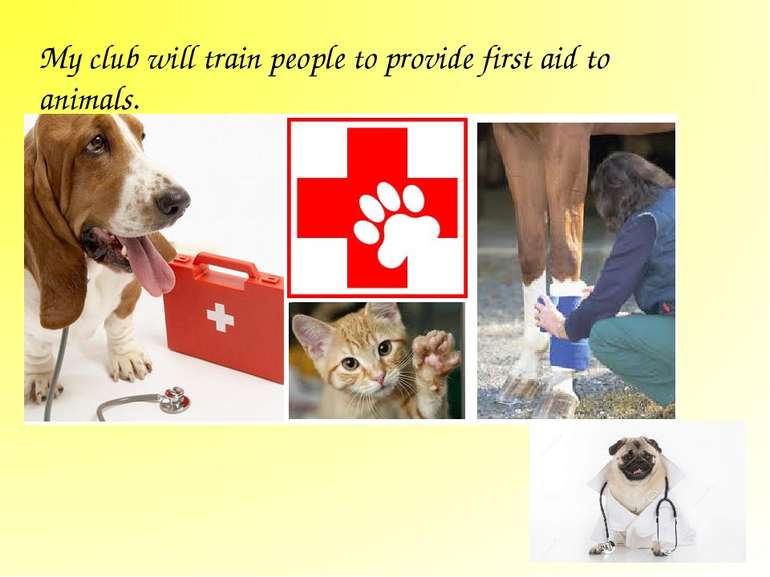 My club will train people to provide first aid to animals.