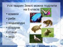 Усіх тварин Землі можна поділити на 6 класів: комахи риби земноводні плазуни ...