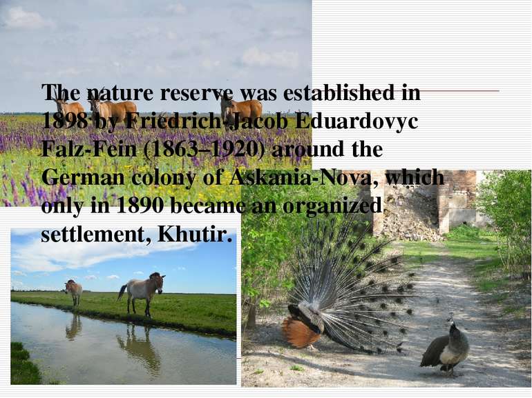 The nature reserve was established in 1898 by Friedrich-Jacob Eduardovyc Falz...