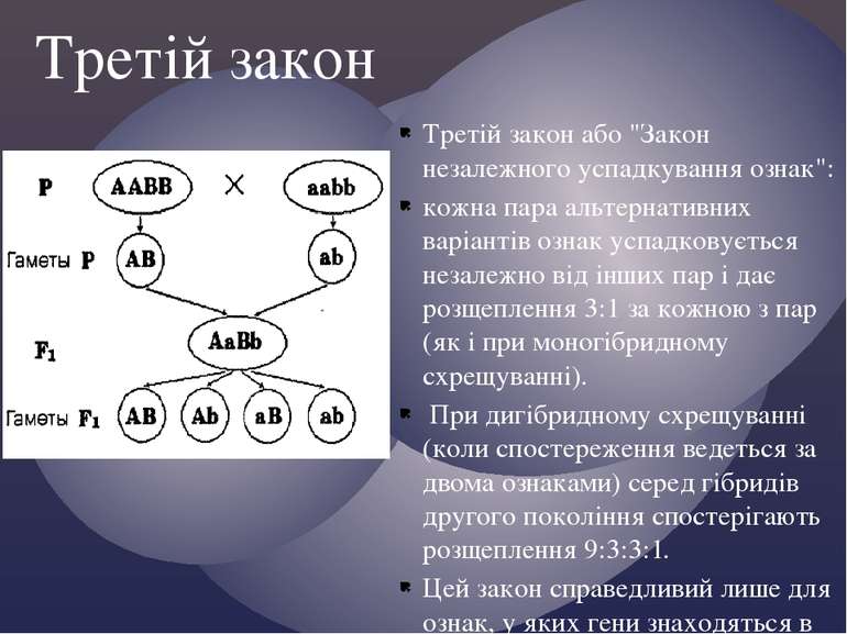 Третій закон або "Закон незалежного успадкування ознак": кожна пара альтернат...