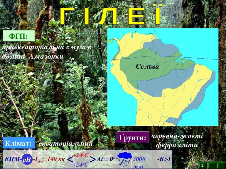 ФГП: приекваторіальна смуга в долині Амазонки Клімат: екваторіальний Ґрунти: ...