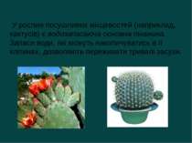 У рослин посушливих місцевостей (наприклад, кактусів) є водозапасаюча основна...