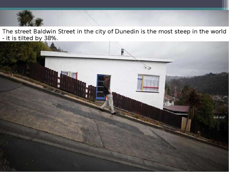 The street Baldwin Street in the city of Dunedin is the most steep in the wor...