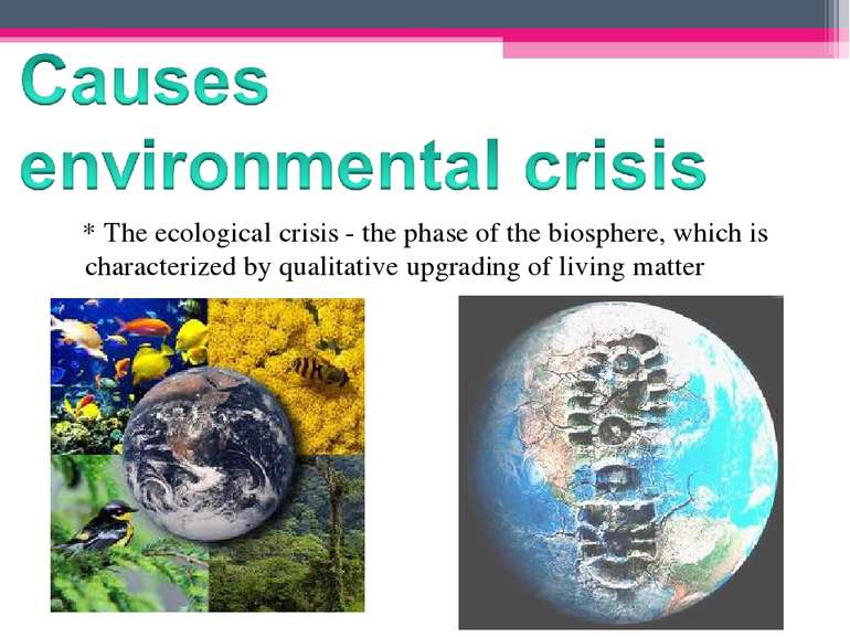    * The ecological crisis - the phase of the biosphere, which is characteriz...
