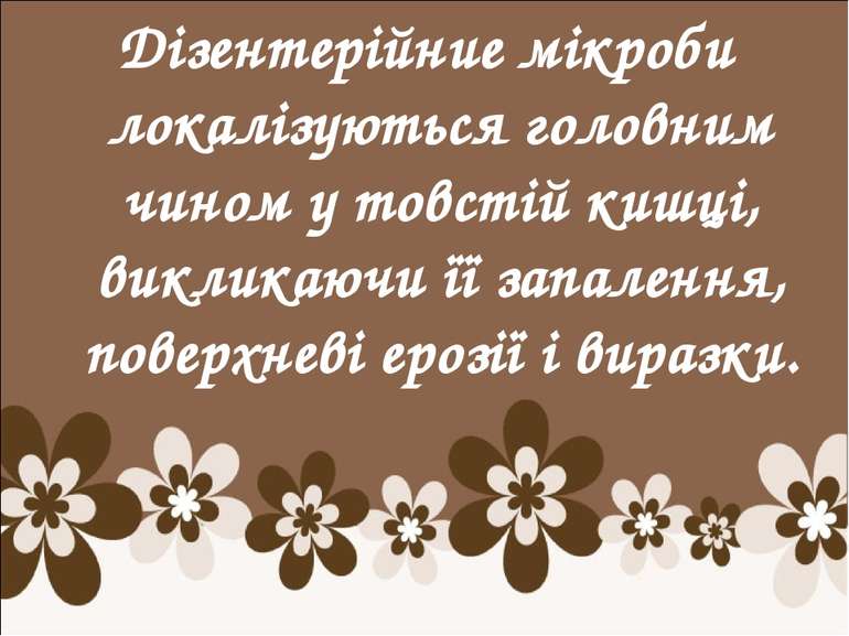 Дізентерійние мікроби локалізуються головним чином у товстій кишці, викликаюч...