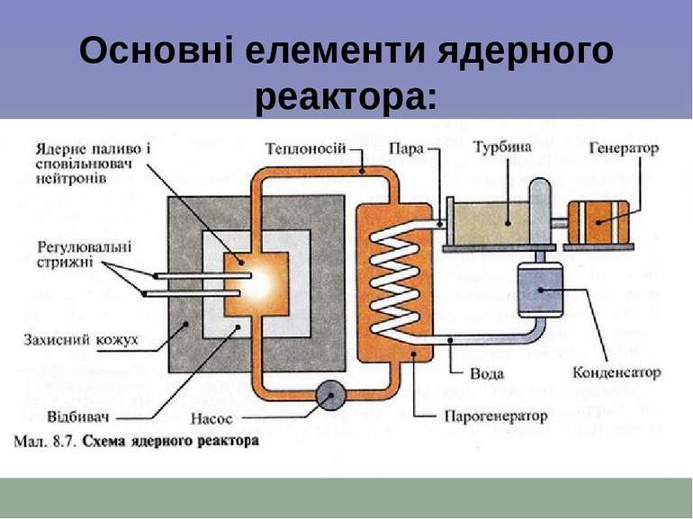Основні елементи ядерного реактора: