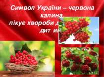 Символ України – червона калина, лікує хвороби дорослого й дитини