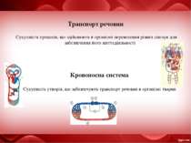 Транспорт речовин Сукупність процесів, що здійснюють в організмі перенесення ...