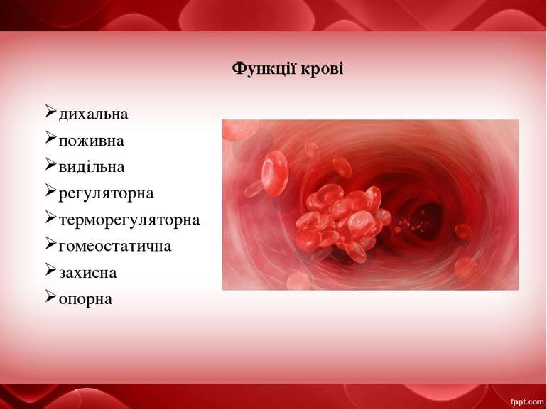 Функції крові дихальна поживна видільна регуляторна терморегуляторна гомеоста...