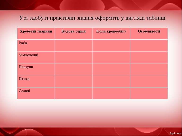 Усі здобуті практичні знання оформіть у вигляді таблиці Хребетні тварини Будо...